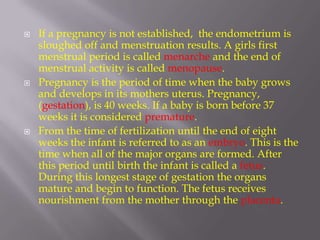    If a pregnancy is not established, the endometrium is
    sloughed off and menstruation results. A girls first
    menstrual period is called menarche and the end of
    menstrual activity is called menopause.
   Pregnancy is the period of time when the baby grows
    and develops in its mothers uterus. Pregnancy,
    (gestation), is 40 weeks. If a baby is born before 37
    weeks it is considered premature.
   From the time of fertilization until the end of eight
    weeks the infant is referred to as an embryo. This is the
    time when all of the major organs are formed. After
    this period until birth the infant is called a fetus.
    During this longest stage of gestation the organs
    mature and begin to function. The fetus receives
    nourishment from the mother through the placenta.
 