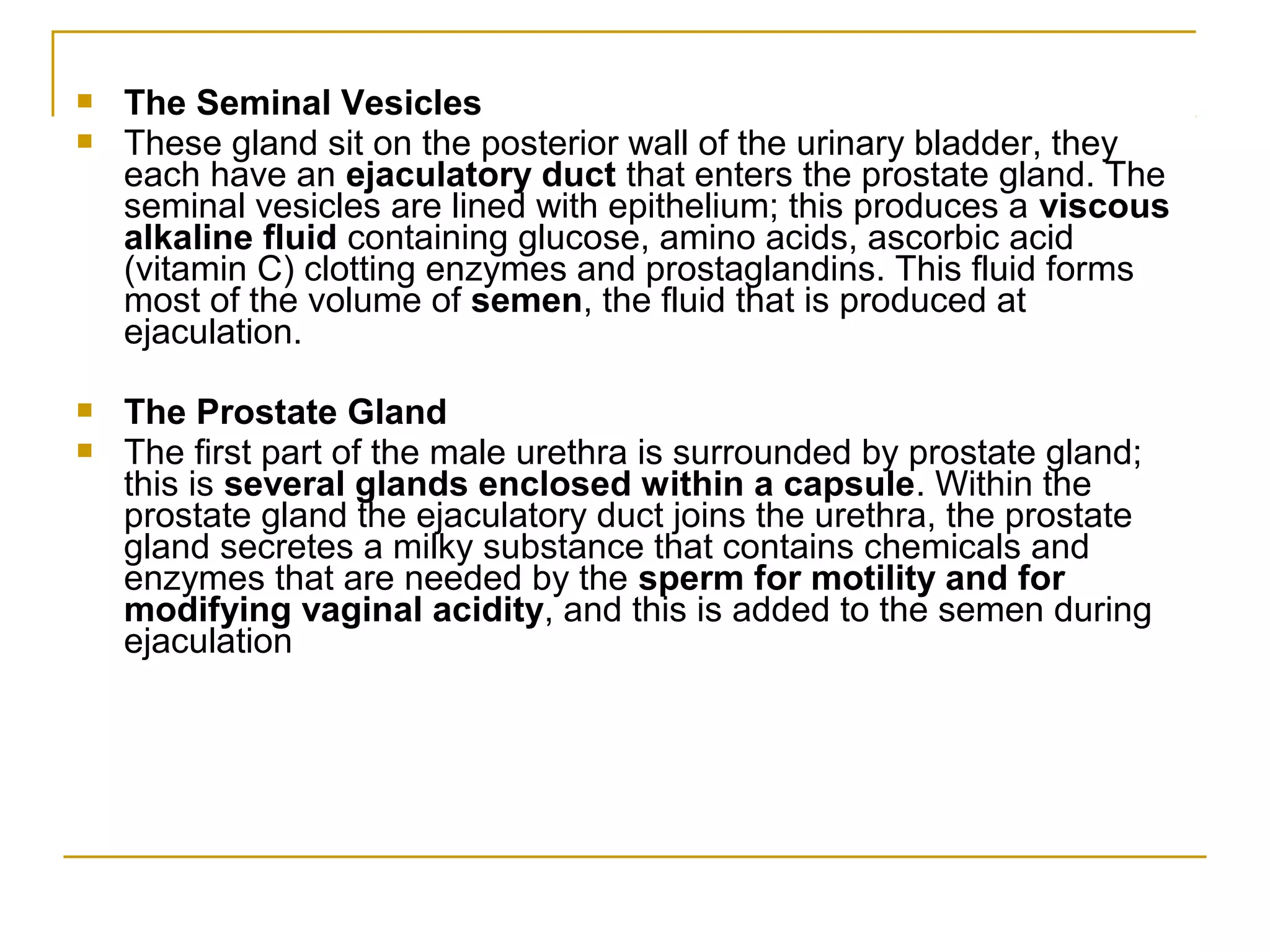 The reproductive system | PPT