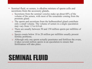 SEMINAL FLUID
• Seminal fluid, or semen, is alkaline mixture of sperm cells and
secretions from the accessory glands,
o Secretions from the seminal vesicles make up about 60% of the
volume of the semen, with most of the remainder coming from the
prostrate gland.
o The sperm and secretions from the bulbourethral gland contribute
only a small volume. The volume of semen in a single ejaculation
may vary from 1.5 to 6.0 ml.
o There are usually between 50 and 150 million sperm per millilitre of
semen.
o Sperm counts below 10 to 20 million per millilitre usually present
fertility problems.
o Although only one sperm actually penetrates and fertilizes the ovum,
it takes several million sperm in an ejaculation to ensure that
fertilization will take place.
 