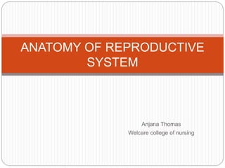 Anjana Thomas
Welcare college of nursing
ANATOMY OF REPRODUCTIVE
SYSTEM
 