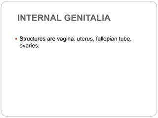 INTERNAL GENITALIA
 Structures are vagina, uterus, fallopian tube,
ovaries.
 