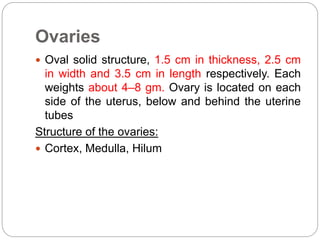 Ovaries
 Oval solid structure, 1.5 cm in thickness, 2.5 cm
in width and 3.5 cm in length respectively. Each
weights about 4–8 gm. Ovary is located on each
side of the uterus, below and behind the uterine
tubes
Structure of the ovaries:
 Cortex, Medulla, Hilum
 