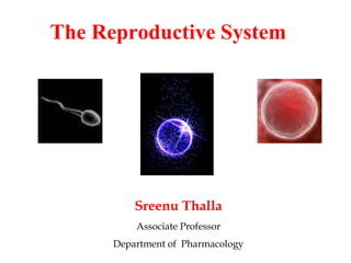 The Reproductive System
Sreenu Thalla
Associate Professor
Department of Pharmacology
 