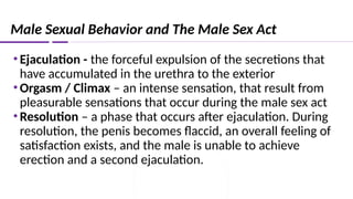 Male Sexual Behavior and The Male Sex Act
•Ejaculation - the forceful expulsion of the secretions that
have accumulated in the urethra to the exterior
•Orgasm / Climax – an intense sensation, that result from
pleasurable sensations that occur during the male sex act
•Resolution – a phase that occurs after ejaculation. During
resolution, the penis becomes flaccid, an overall feeling of
satisfaction exists, and the male is unable to achieve
erection and a second ejaculation.
 