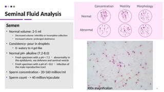 40
Semen
• Normal volume: 2-5 ml
• Decreased volume- infertility or incomplete collection
• Increased volume- prolonged abstinence
• Consistency- pour in droplets
• 0- watery to 4 gel-like
• Normal pH- alkaline (7.2-8.0)
• Fresh specimen with a pH < 7.2  abnormality in
the epididymis, vas deferens and seminal vesicle
• Fresh specimen with a pH of > 8.0  infection of
the male reproductive tract
• Sperm concentration - 20-160 million/ml
• Sperm count - > 40 million/ejaculate
Seminal Fluid Analysis
 