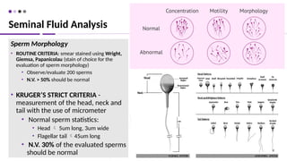 44
Sperm Morphology
• ROUTINE CRITERIA: smear stained using Wright,
Giemsa, Papanicolau (stain of choice for the
evaluation of sperm morphology)
• Observe/evaluate 200 sperms
• N.V. > 50% should be normal
• KRUGER’S STRICT CRITERIA -
measurement of the head, neck and
tail with the use of micrometer
• Normal sperm statistics:
• Head  5um long, 3um wide
• Flagellar tail 45um long
• N.V. 30% of the evaluated sperms
should be normal
Seminal Fluid Analysis
 