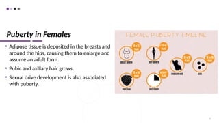 Puberty in Females
• Adipose tissue is deposited in the breasts and
around the hips, causing them to enlarge and
assume an adult form.
• Pubic and axillary hair grows.
• Sexual drive development is also associated
with puberty.
72
 