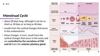 Menstrual Cycle
• about 28 days long, although it can be as
short as 18 days or as long as 40 days
• results from the cyclical changes that occur
in the endometrium
• these changes, in turn, result from the
cyclical changes that occur in the ovary and
are controlled by the secretions of FSH
and LH from the anterior pituitary gland.
73
 