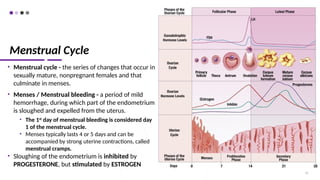 Menstrual Cycle
• Menstrual cycle - the series of changes that occur in
sexually mature, nonpregnant females and that
culminate in menses.
• Menses / Menstrual bleeding - a period of mild
hemorrhage, during which part of the endometrium
is sloughed and expelled from the uterus.
• The 1st
day of menstrual bleeding is considered day
1 of the menstrual cycle.
• Menses typically lasts 4 or 5 days and can be
accompanied by strong uterine contractions, called
menstrual cramps.
• Sloughing of the endometrium is inhibited by
PROGESTERONE, but stimulated by ESTROGEN
74
 