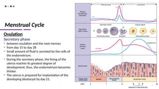 Menstrual Cycle
Ovulation
Secretory phase
• between ovulation and the next menses
• from day 15 to day 28
• Small amount of fluid is secreted by the cells of
the endometrium.
• During the secretory phase, the lining of the
uterus reaches its greatest degree of
development; thus, the endometrium becomes
thicker.
• The uterus is prepared for implantation of the
developing blastocyst by day 21.
77
 