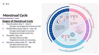 Menstrual Cycle
Stages of Menstrual Cycle
1. Menstruation (day 1 – day 5)
Estrogen and progesterone levels are low
2. Proliferative phase (day 6 – day 13)
Estrogen levels begin to increase
Progesterone levels remain low
3. Ovulation (day 14)
Estrogen levels are high
Progesterone levels are increasing
4. Secretory phase (day 15 – day 28)
Estrogen levels decrease
Progesterone levels are high
78
 