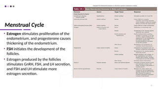 Menstrual Cycle
• Estrogen stimulates proliferation of the
endometrium, and progesterone causes
thickening of the endometrium.
• FSH initiates the development of the
follicles.
• Estrogen produced by the follicles
stimulates GnRH, FSH, and LH secretion,
and FSH and LH stimulate more
estrogen secretion.
79
 