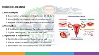 Functions of the Uterus
1.Menstrual Cycle
1. Endometrium undergoes monthly changes (26–30 days).
2. Controlled by hypothalamic and pituitary hormones.
3. Prepares uterus to receive and nourish a fertilized ovum.
2.Menstruation
1. If fertilization does not occur, the endometrium is shed.
2. Vaginal bleeding marks the start of a new cycle.
3.Implantation & Nourishment
1. Fertilized ovum (zygote) embeds in uterine wall.
2. Uterine secretions nourish ovum before implantation.
3. Endometrial cells nourish embryo for first few weeks.
 