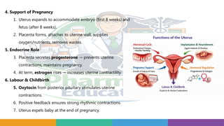4. Support of Pregnancy
1. Uterus expands to accommodate embryo (first 8 weeks) and
fetus (after 8 weeks).
2. Placenta forms, attaches to uterine wall, supplies
oxygen/nutrients, removes wastes.
5. Endocrine Role
3. Placenta secretes progesterone prevents uterine
→
contractions, maintains pregnancy.
4. At term, estrogen rises increases uterine contractility.
→
6. Labour & Childbirth
5. Oxytocin from posterior pituitary stimulates uterine
contractions.
6. Positive feedback ensures strong rhythmic contractions.
7. Uterus expels baby at the end of pregnancy.
 