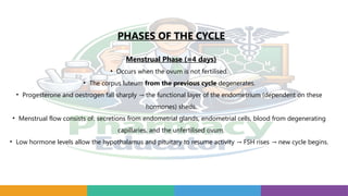 PHASES OF THE CYCLE
Menstrual Phase (≈4 days)
• Occurs when the ovum is not fertilised.
• The corpus luteum from the previous cycle degenerates.
• Progesterone and oestrogen fall sharply the functional layer of the endometrium (dependent on these
→
hormones) sheds.
• Menstrual flow consists of: secretions from endometrial glands, endometrial cells, blood from degenerating
capillaries, and the unfertilised ovum.
• Low hormone levels allow the hypothalamus and pituitary to resume activity FSH rises new cycle begins.
→ →
 