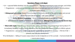 Secretory Phase (≈14 days)
• LH ruptured follicle develops into the corpus luteum secretes progesterone, some estrogen, and inhibin.
→ →
• Progesterone endometrium becomes oedematous (swollen with fluid) and secretory glands produce
→
increased watery mucus.
• Widespread Lubrication: Watery mucus increases in the cervix, glands of the uterine tubes, and cervical
glands that lubricate the vagina aids sperm passage.
→
• Fertile Window Constraints: * Ovum is viable/fertilisable for as little as 8 hours.
• Spermatozoa are capable of fertilising for about 24 hours, although they can survive for several days
in the reproductive tract.
• Observable signs: Cervical mucus becomes thin, watery, and elastic; body temperature rises by about 1°C
immediately following ovulation; some experience mid cycle abdominal discomfort (due to follicle rupture).
‑
• Progesterone + estrogen + inhibin suppress the hypothalamus and anterior pituitary FSH & LH fall
→ →
prevents new follicular development.
•If no fertilization falling LH causes corpus luteum to die (it depends on LH for survival) hormone levels fall
→ →
menstruation begins.
→
 