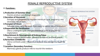 FEMALE REPRODUCTIVE SYSTEM
‍
⚕️
‍
️
‍
⚕️
‍
⚕️
‍
⚕️
‍
⚕️
‍
⚕️
‍
⚕️
‍
⚕️
‍
⚕️
‍
⚕️
‍
⚕️
‍
⚕️
‍
⚕️
‍
⚕️Functions:-
1.Production of Gametes (Ova)
Ovaries produce ova through oogenesis.
2.Secretion of Hormones
Estrogen and progesterone regulate menstrual cycle, pregnancy, and
secondary sexual traits.
3.Transport of Ovum
Fallopian tubes carry the ovum from ovary to uterus; site of fertilization.
4.Preparation for Fertilization
Uterus undergoes cyclic changes (menstrual cycle) to prepare for
implantation.
5.Nourishment & Development of Embryo/Fetus
Uterus supports implantation, placenta formation, and fetal growth.
6.Parturition (Childbirth)
Uterus contracts under influence of oxytocin and estrogen to expel the
baby.
7.Lactation (Secondary Function)
Mammary glands produce milk to nourish the newborn.
 