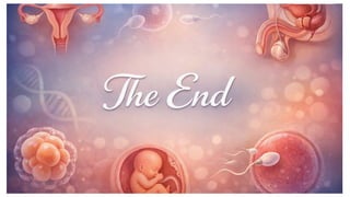 Comprehensive Overview of the Female Reproductive System and Its Functions