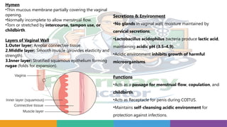 Hymen
•Thin mucous membrane partially covering the vaginal
opening.
•Normally incomplete to allow menstrual flow.
•Torn or stretched by intercourse, tampon use, or
childbirth.
Layers of Vaginal Wall
1.Outer layer: Areolar connective tissue.
2.Middle layer: Smooth muscle (provides elasticity and
strength).
3.Inner layer: Stratified squamous epithelium forming
rugae (folds for expansion).
Secretions & Environment
•No glands in vaginal wall; moisture maintained by
cervical secretions.
•Lactobacillus acidophilus bacteria produce lactic acid,
maintaining acidic pH (3.5–4.9).
•Acidic environment inhibits growth of harmful
microorganisms.
Functions
•Acts as a passage for menstrual flow, copulation, and
childbirth.
•Acts as Receptacle for penis during COITUS.
•Maintains self cleansing acidic environment
‑ for
protection against infections.
 