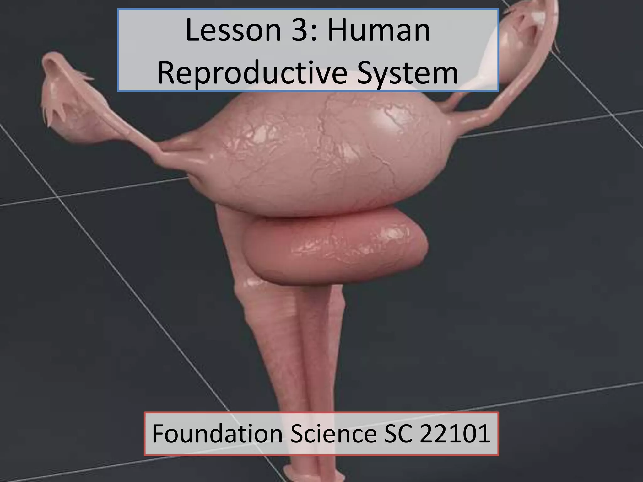 Lesson 3: Human
Reproductive System
Foundation Science SC 22101