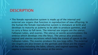 DESCRIPTION
• The female reproductive system is made up of the internal and
external sex organs that function in reproduct...