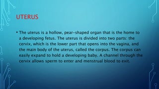 UTERUS
• The uterus is a hollow, pear-shaped organ that is the home to
a developing fetus. The uterus is divided into two ...