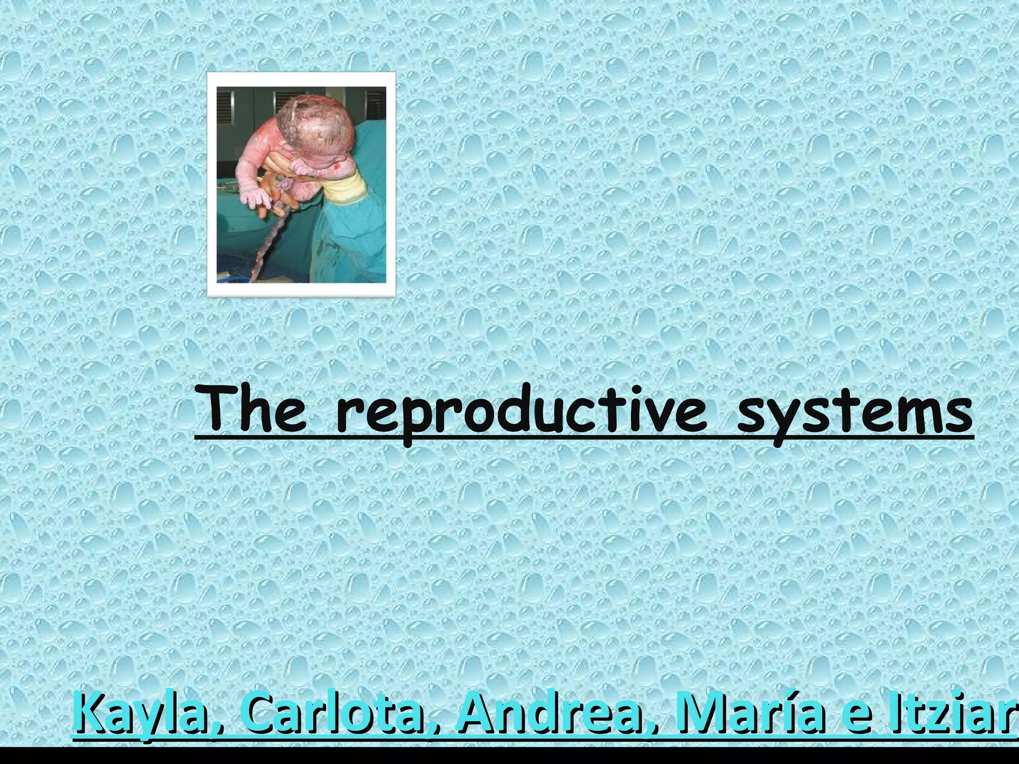 The reproductive systems | PPT