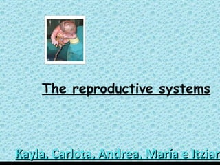 Kayla, Carlota, Andrea, María e Itziar The reproductive system s 