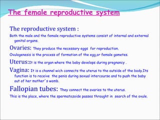The female reproductive system The reproductive system : Both the male and the female reproductive system s  consist of internal and external genital organs. Ovaries:  They produce the  necessary  eggs  for reproduction. Ovulogenesis is the process of form a tion of the egg,or female gametes. Uterus: It is the organ where the baby develops during pregnancy . Vagina:  It is a channel wich connects the uterus to the outside of the body.Its function is to receive  the penis during sexual intercourse and   to push the baby out of her mother ´ s womb. Fallopian tubes :  They connect the ovaries to the uterus. This is the place, where the spermatozoide   passes throught  in  search of the ovule . 