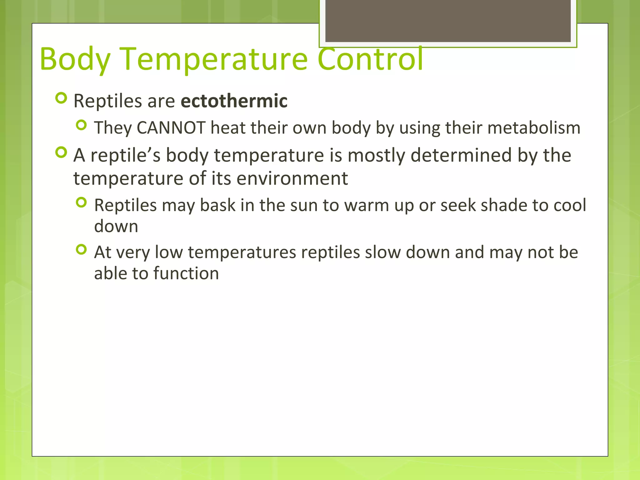 Body Temperature Control
 Reptiles are ectothermic
 They CANNOT heat their own body by using their metabolism
 A reptile’s body temperature is mostly determined by the
temperature of its environment
 Reptiles may bask in the sun to warm up or seek shade to cool
down
 At very low temperatures reptiles slow down and may not be
able to function
 