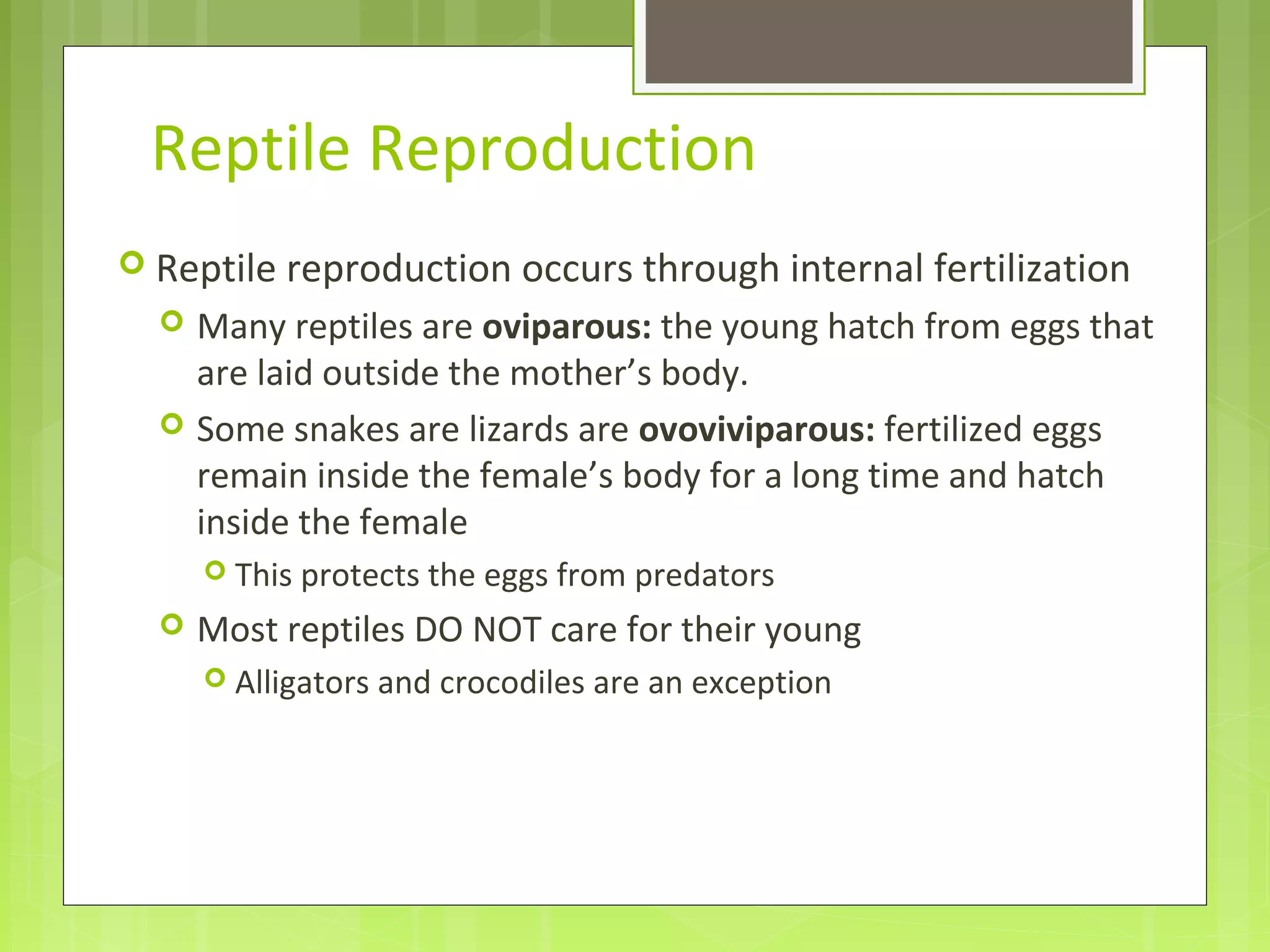 Reptile Reproduction
 Reptile reproduction occurs through internal fertilization
 Many reptiles are oviparous: the young hatch from eggs that
are laid outside the mother’s body.
 Some snakes are lizards are ovoviviparous: fertilized eggs
remain inside the female’s body for a long time and hatch
inside the female
 This protects the eggs from predators
 Most reptiles DO NOT care for their young
 Alligators and crocodiles are an exception
 