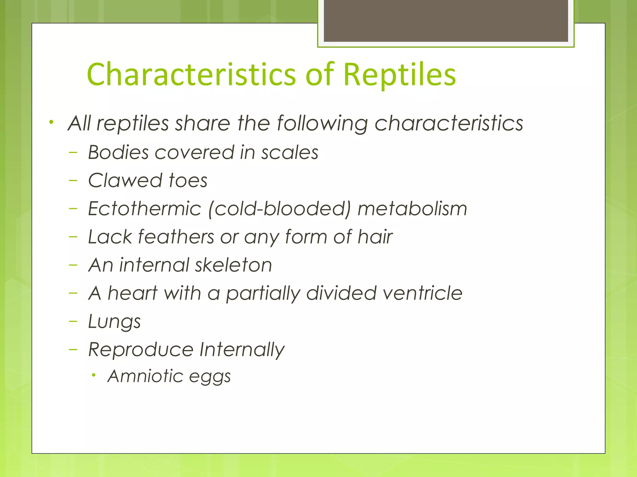 Characteristics of Reptiles
• All reptiles share the following characteristics
– Bodies covered in scales
– Clawed toes
– Ectothermic (cold-blooded) metabolism
– Lack feathers or any form of hair
– An internal skeleton
– A heart with a partially divided ventricle
– Lungs
– Reproduce Internally
• Amniotic eggs
 