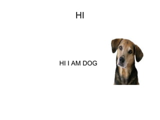 HI
HI I AM DOG
 