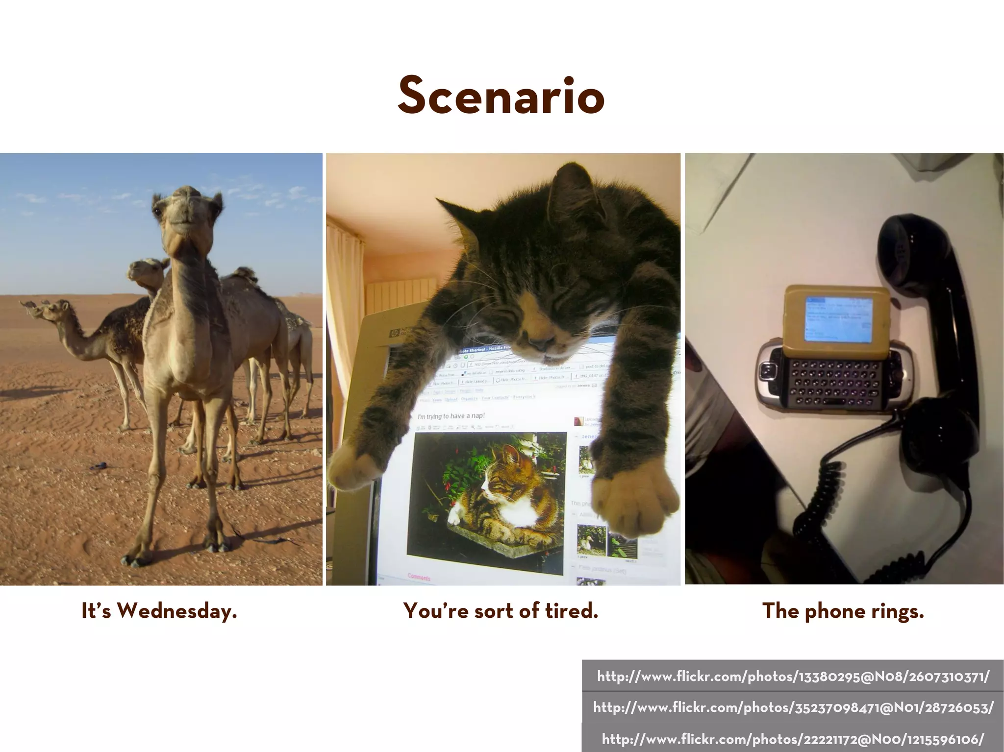 Scenario
It’s Wednesday. You’re sort of tired. The phone rings.
http://www.flickr.com/photos/13380295@N08/2607310371/
http://www.flickr.com/photos/35237098471@N01/28726053/
http://www.flickr.com/photos/22221172@N00/1215596106/
