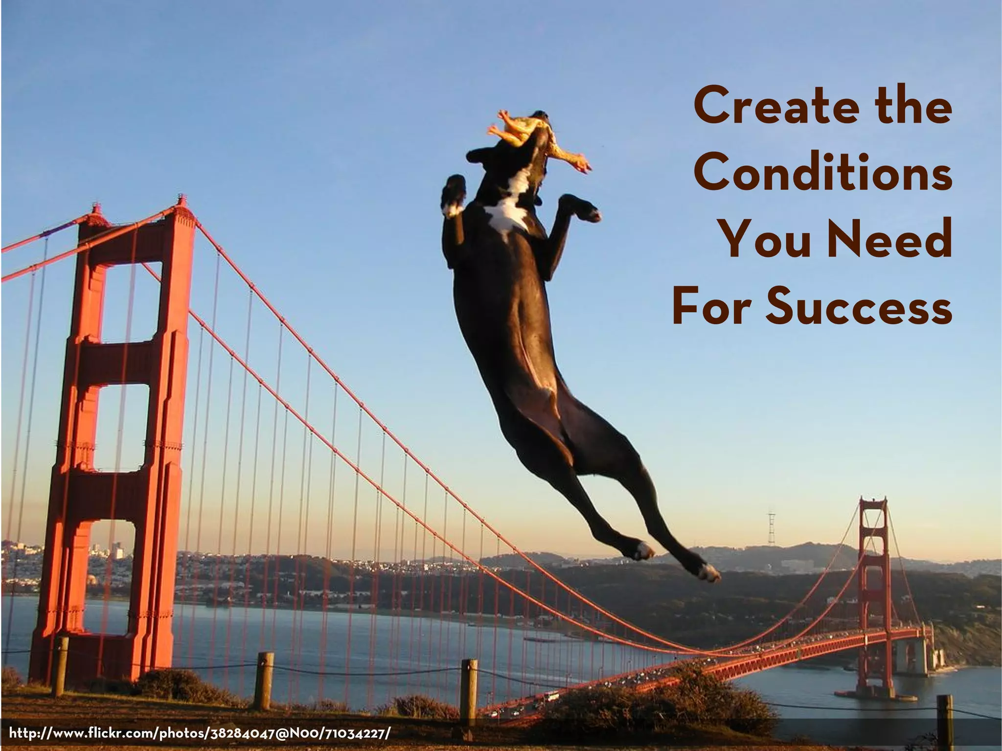 Create the
Conditions
You Need
For Success
http://www.flickr.com/photos/38284047@N00/71034227/