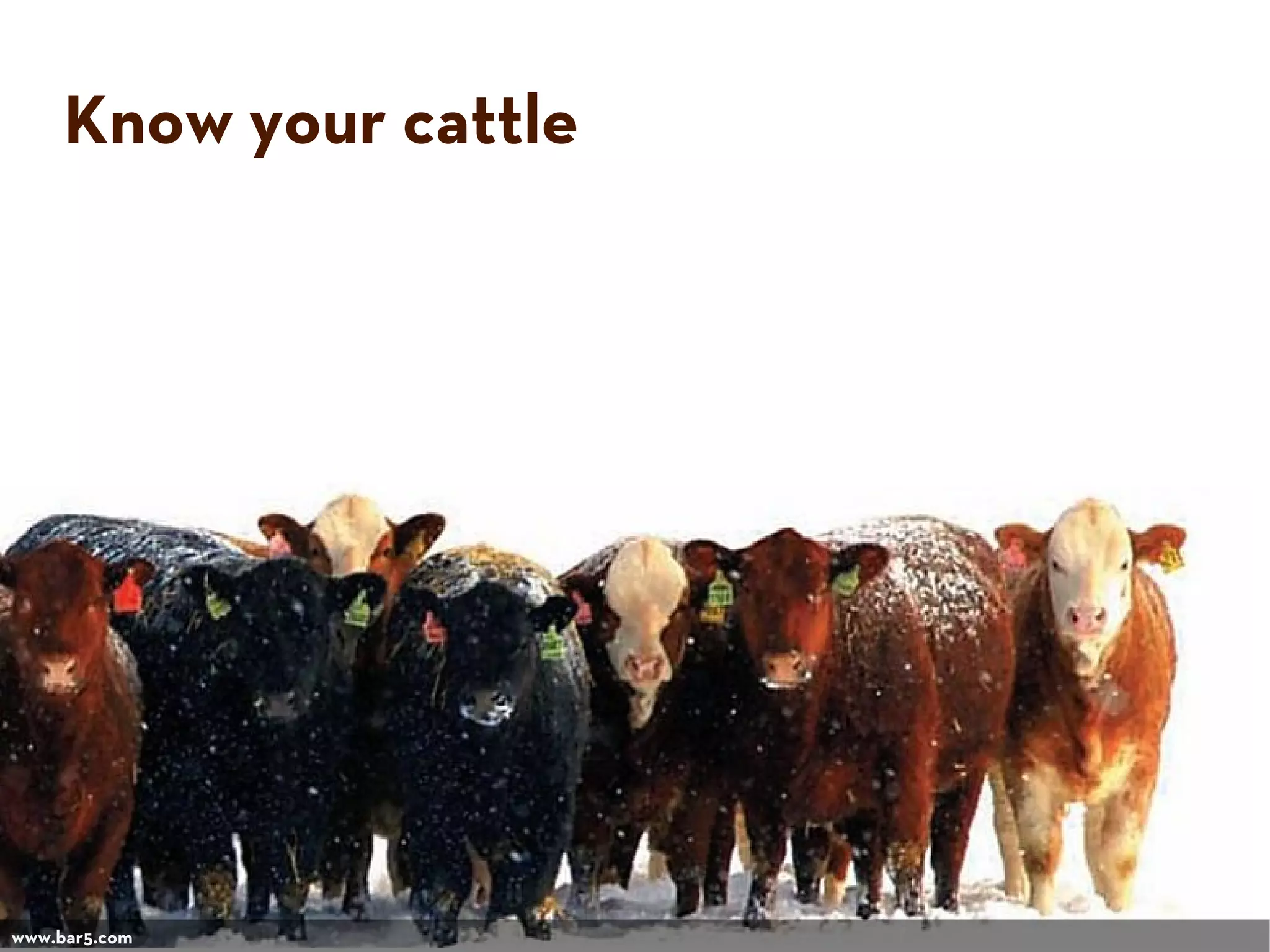Know your cattle
www.bar5.com