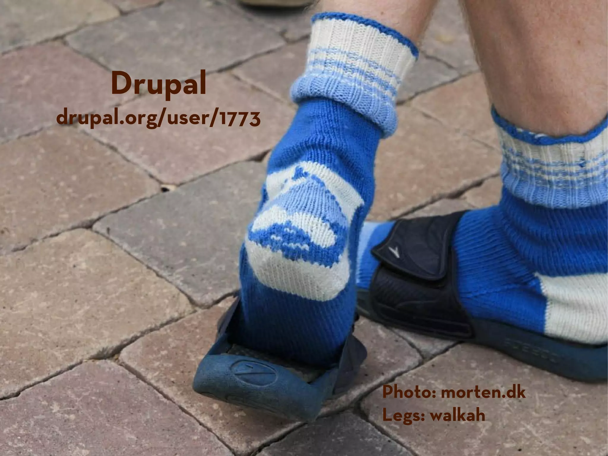Drupal
drupal.org/user/1773
Photo: morten.dk
Legs: walkah