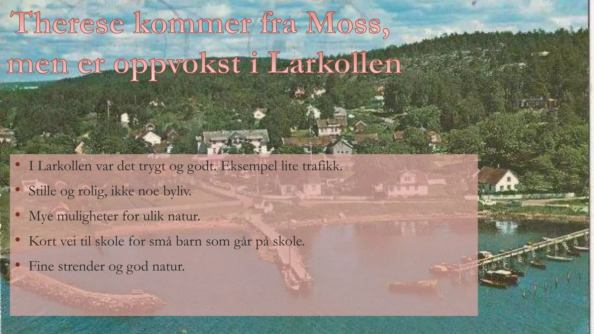 Therese andersen palm 2017.pp