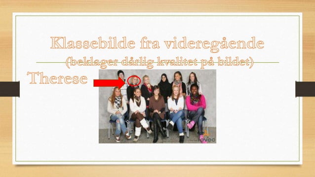 Therese andersen palm 2017.pp