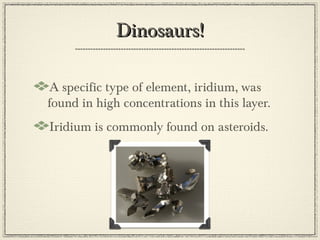 Dinosaurs!

A specific type of element, iridium, was
found in high concentrations in this layer.
Iridium is commonly found on asteroids.
 