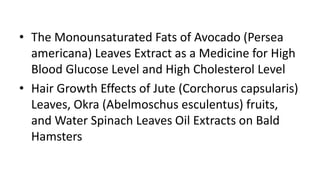 • The Monounsaturated Fats of Avocado (Persea
americana) Leaves Extract as a Medicine for High
Blood Glucose Level and High Cholesterol Level
• Hair Growth Effects of Jute (Corchorus capsularis)
Leaves, Okra (Abelmoschus esculentus) fruits,
and Water Spinach Leaves Oil Extracts on Bald
Hamsters
 