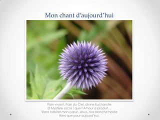 Mon chant d’aujourd’hui

Pain vivant, Pain du Ciel, divine Eucharistie
O Mystère sacré ! que l’Amour a produit…
Viens habiter mon cœur, Jésus, ma blanche Hostie
Rien que pour aujourd’hui.

 