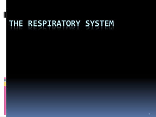 THE RESPIRATORY SYSTEM
1
 