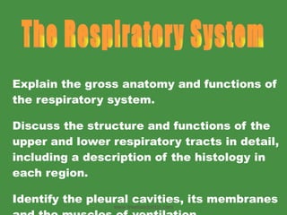 Explain the gross anatomy and functions of the respiratory system. Discuss the structure and functions of the upper and lower respiratory tracts in detail, including a description of the histology in each region. Identify the pleural cavities, its membranes and the muscles of ventilation. The Respiratory System www.freelivedoctor.com 