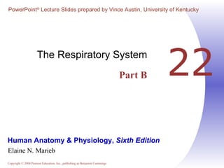 22 The Respiratory System Part B 