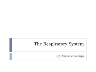 The Respiratory System By: AnabelleSalonga 