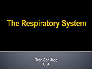 The Respiratory System Ryan San Jose 8-16 