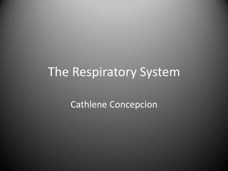 The Respiratory System Cathlene Concepcion 