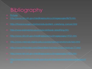 BibliographyPictureshttp://www.nlm.nih.gov/medlineplus/ency/imagepages/8675.htmhttp://thoracicsurgery.stanford.edu/patient_care/lung_cancer.htmlhttp://www.eastwestacupuncture.net/book_breathing.htmhttp://www.nlm.nih.gov/medlineplus/ency/imagepages/19721.htmhttp://www.med-ed.virginia.edu/courses/rad/cxr/anatomy5chest.htmlhttp://www.k9rawdiet.com/Dried-Beef-Trachea-Chew-Treats-pr-77.htmlhttp://www.nlm.nih.gov/medlineplus/ency/imagepages/19375.htmhttp://www2.estrellamountain.edu/faculty/farabee/biobk/biobookrespsys.html