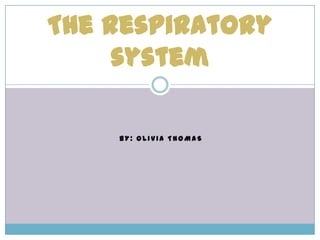 By: Olivia Thomas The respiratory system  